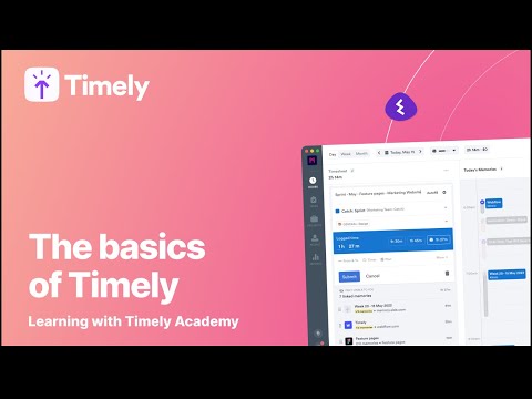 What is Timely? Demo & tutorial video.